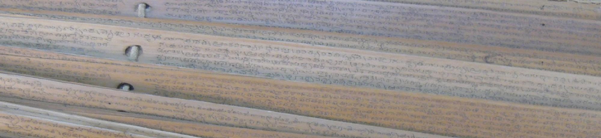 VR Manuscript